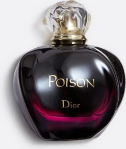 Dior Poison 100 Ml - Eau De Toilette - Damesparfum -Parfum Winkel 1012x1200