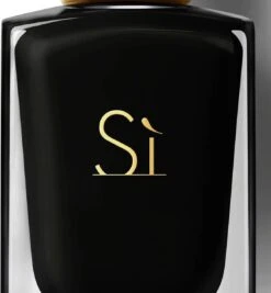Giorgio Armani Sì Intense 100 Ml - Eau De Parfum - Damesparfum -Parfum Winkel 1110x1200