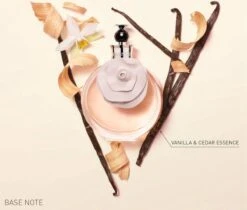 Valentino Valentina Eau De Parfum 50ml -Parfum Winkel 1200x1019