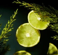 RITUALS Life Is A Journey - Refill Homme Car Perfume - 6 Ml -Parfum Winkel 1200x1136 5