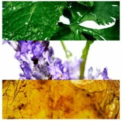 Davidoff Cool Water 200 Ml - Eau De Toilette - Herenparfum -Parfum Winkel 1200x1186 5