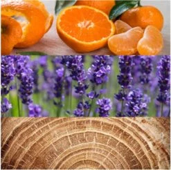 Calvin Klein Obsession 125 Ml - Eau De Toilette - Herenparfum -Parfum Winkel 1200x1194 3