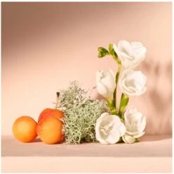 Chloé Chloé Nomade 30 Ml - Eau De Parfum - Damesparfum -Parfum Winkel 1200x1198 3