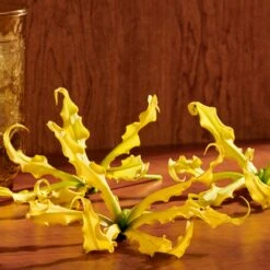 Gucci Guilty Pour Femme Eau De Parfum Intense -Parfum Winkel 1200x1200 10