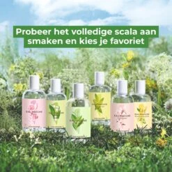 Yves Rocher - LA COLLECTION Kamperfoelie Eau De Toilette - Eau Fraîche - Damesparfum - 100 Ml -Parfum Winkel 1200x1200 118