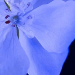 Yves Saint Laurent - Eau De Parfum - Y Le Parfum - 100 Ml -Parfum Winkel 1200x1200 356