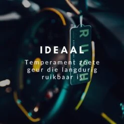 RUSH Autoparfum Sweet Sense - Auto Geurverfrisser - Parfum Voor Dames En Heren -Parfum Winkel 1200x1200 501