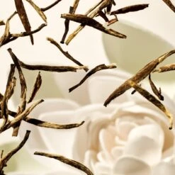 RITUALS Life Is A Journey - Karma Car Perfume - 6 G -Parfum Winkel 1200x1200 510