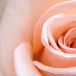 Spider-Man Geschenkset - Eau De Toilette 100 Ml & Douchegel 60 Ml - Met Toilettas -Parfum Winkel 1200x1200 654