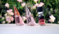 Bruno Banani Absolute Woman Eau De Toilette 40 Ml -Parfum Winkel 1200x699 1