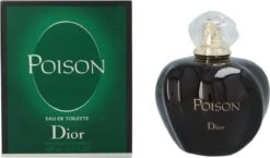 Dior Poison 100 Ml - Eau De Toilette - Damesparfum -Parfum Winkel 1200x704