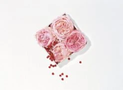 Lancôme Miracle 30 Ml - Eau De Parfum - Damesparfum -Parfum Winkel 1200x886