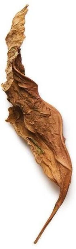 Giorgio Armani Acqua Di Gio Profumo 125 Ml - Eau De Parfum - Herenparfum -Parfum Winkel 365x1200 2