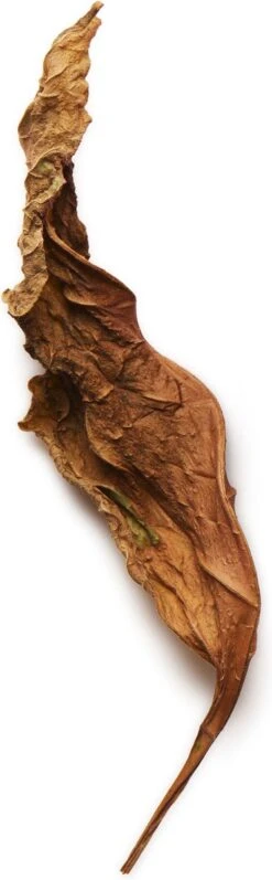 Giorgio Armani Acqua Di Gio Absolu 75ml - Eau De Parfum - Herenparfum -Parfum Winkel 372x1200 3