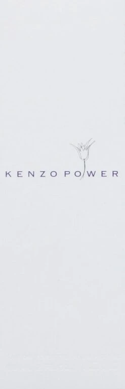 Kenzo Power 60 Ml - Eau De Toilette - Herenparfum -Parfum Winkel 385x1200 1