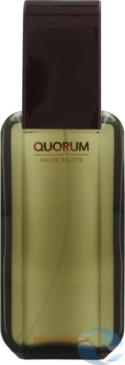 Puig Quorum Homme Edt Vapo M - Herenparfum -Parfum Winkel 413x1200 2