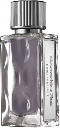 Abercrombie & Fitch First Instinct 100 Ml - Eau De Toilette - Herenparfum -Parfum Winkel 562x1200