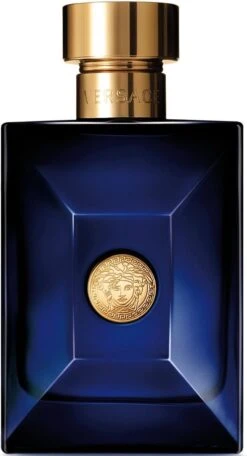 Versace Dylan Blue 100 Ml - Eau De Toilette - Herenparfum