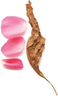 Giorgio Armani Sì Intense 100 Ml - Eau De Parfum - Damesparfum -Parfum Winkel 729x1200