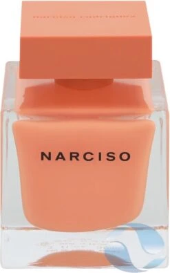 Narciso Rodriguez Narciso Ambree - 90 Ml - Eau De Parfum Spray - Damesparfum -Parfum Winkel 751x1200 1