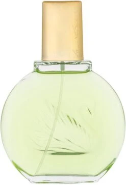 Vanderbilt - Jardin A New York - Eau De Parfum - 100ML - Damesparfum -Parfum Winkel 817x1200 2