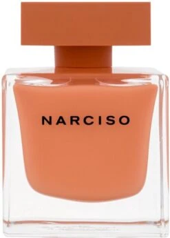 Narciso Rodriguez Narciso Ambree - 90 Ml - Eau De Parfum Spray - Damesparfum -Parfum Winkel 858x1200