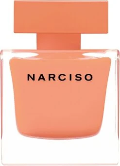 Narciso Rodriguez Narciso Ambree - 90 Ml - Eau De Parfum Spray - Damesparfum -Parfum Winkel 867x1200