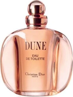 Dior Dune 100 Ml - Eau De Toilette - Damesparfum -Parfum Winkel 898x1200