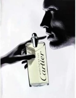Cartier Déclaration 100 Ml - Eau De Toilette - Herenparfum -Parfum Winkel 933x1200 3